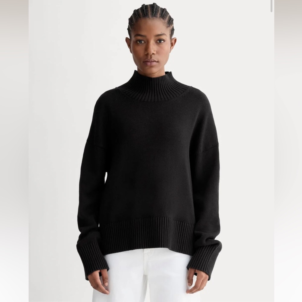 NWT Everlane Boxy Turtleneck